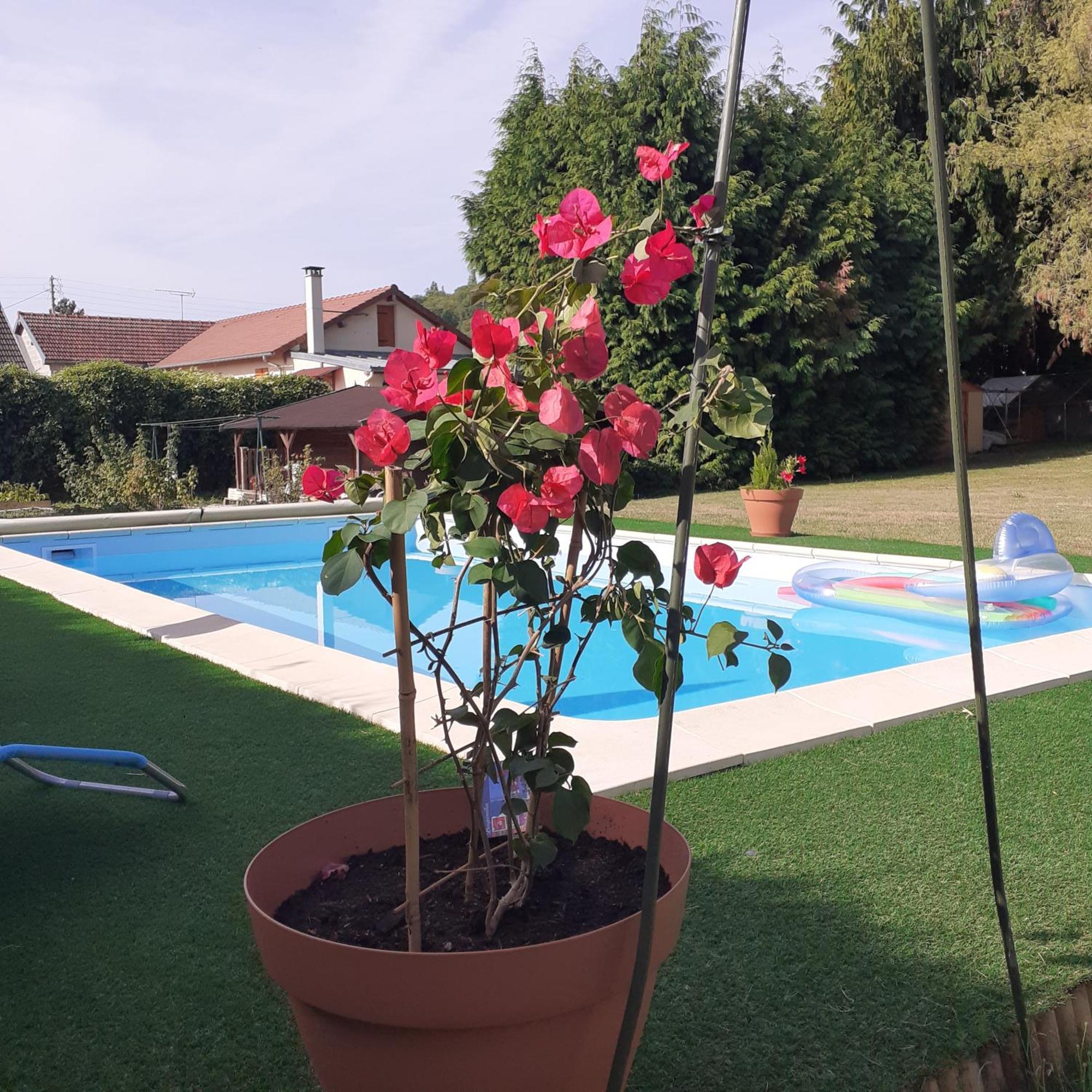 Homestay O Tour De L'eau *